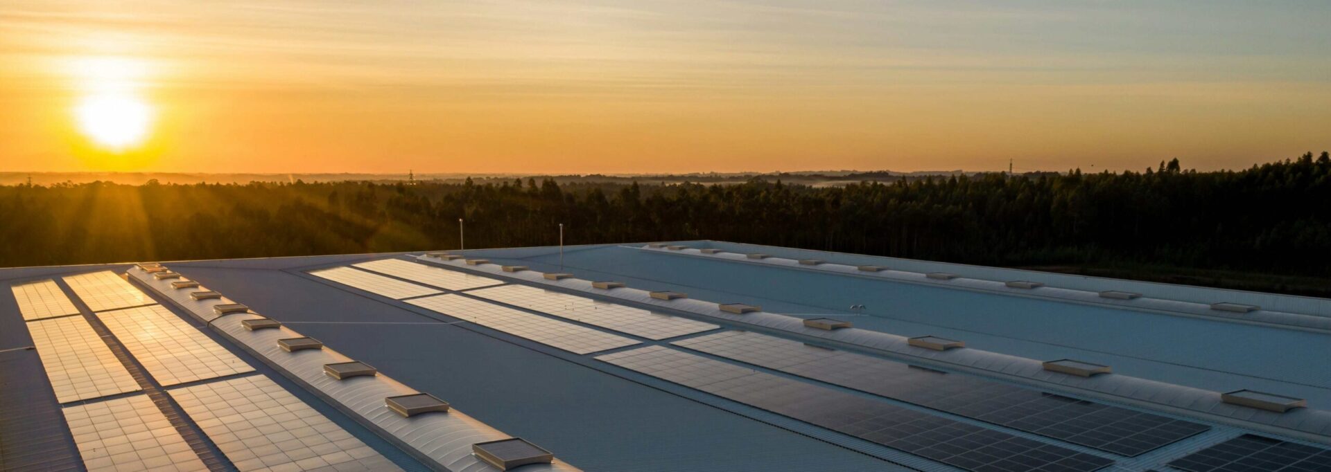 Dach hali magazynowej pokryty panelami fotowoltaicznymi znajdujący się w środku lasu. W tle widać zachodzące słońce.